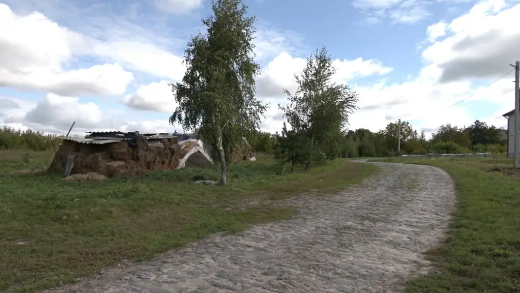 На Рівненщині підтвердили сказ у домашнього бика: контакти вакцинують