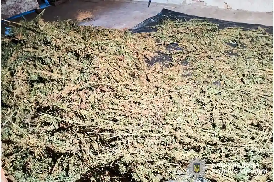 У Рівному затримали двох чоловіків із 180 кілограмами канабісу