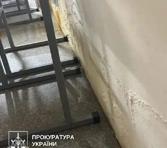 Депутат з Рівненщини під вартою через мільйонні привласнення на ремонті шкільного укриття