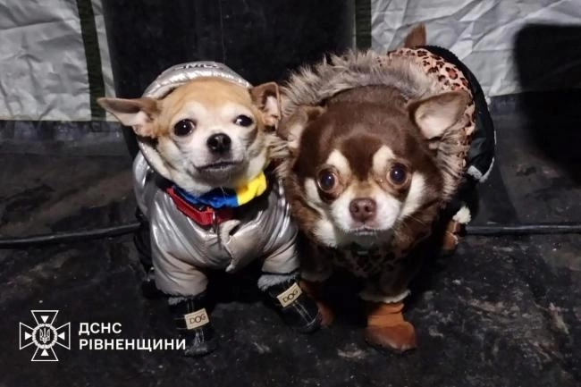 Рятувальники Рівненщини розгорнули у Києві мобільні осередки тепла та підтримки