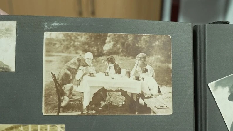 Дами з собачками та забуті горища: як в Острозі відроджують історію міста через об’єктив столітньої давнини