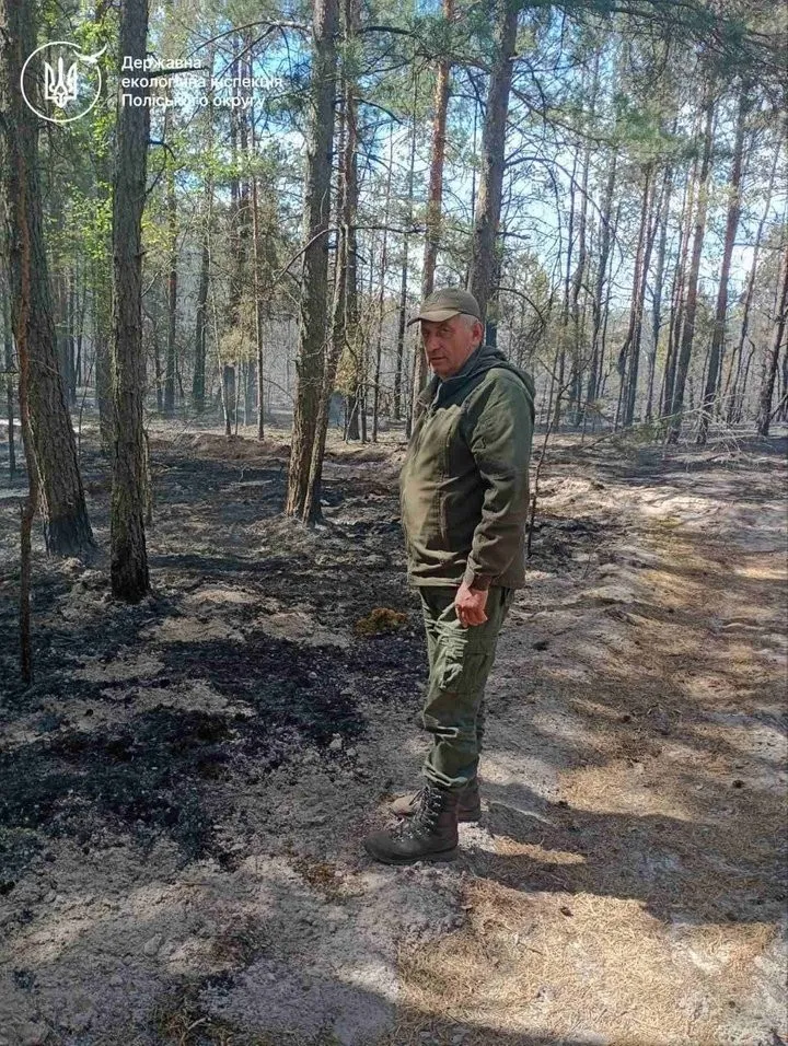 Масштабна лісова пожежа на Рівненщині: вогонь охопив 90 гектарів та залишив тисячу людей без світла