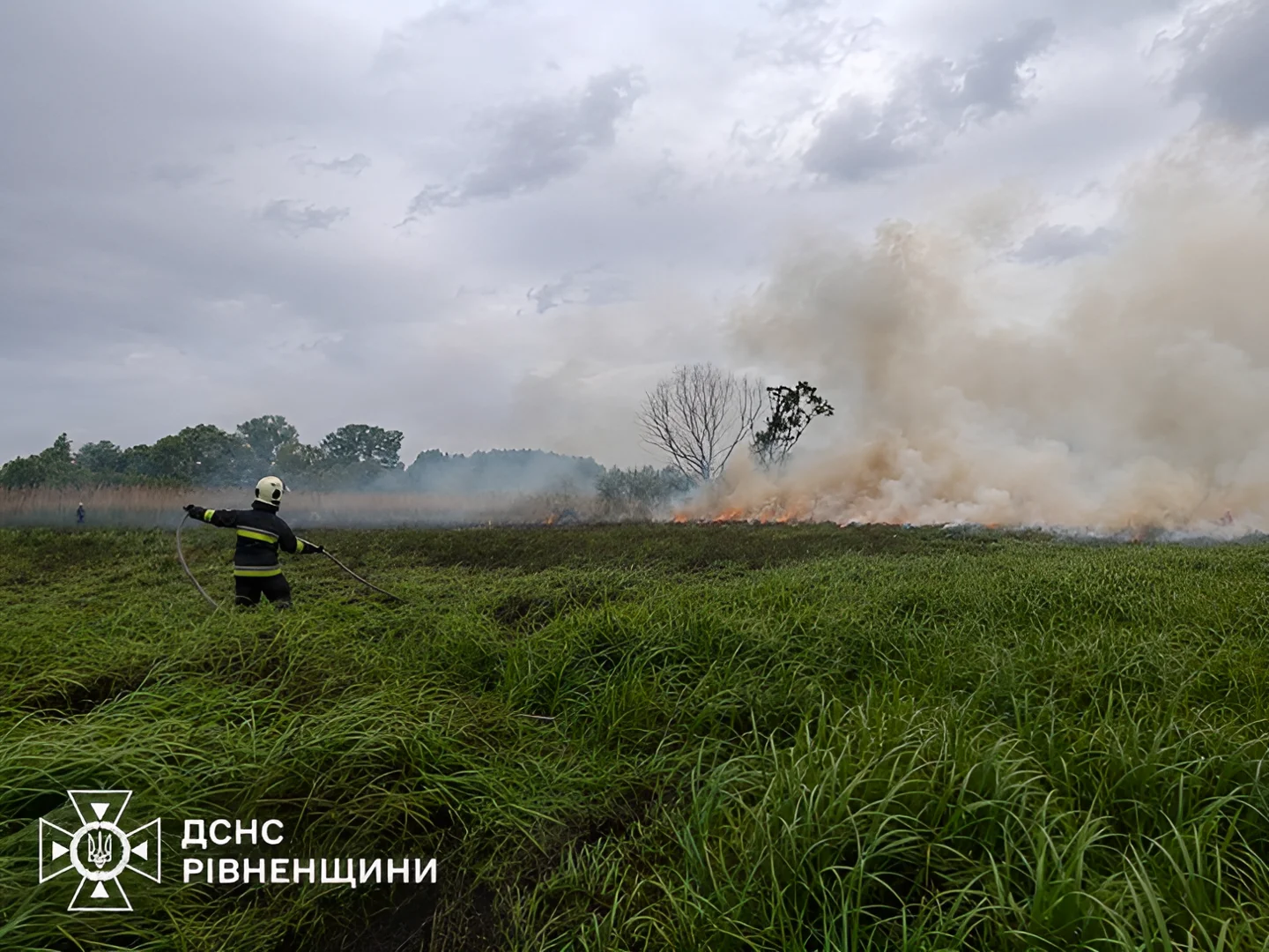 Рятувальники вберегли оленят від вогняної пастки на Рівненщині
