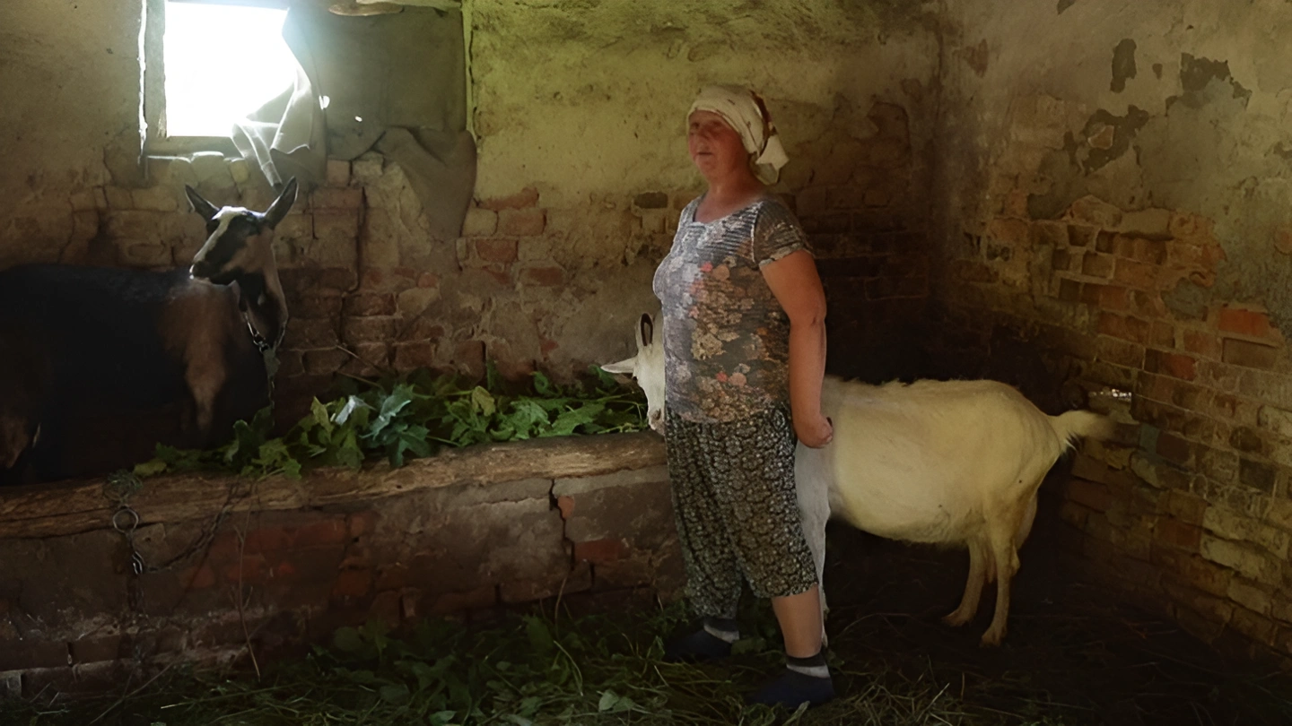 Будні невеликого села на Рівненщині: як живуть люди у Сергіївці без роботи та з молоддю у війську